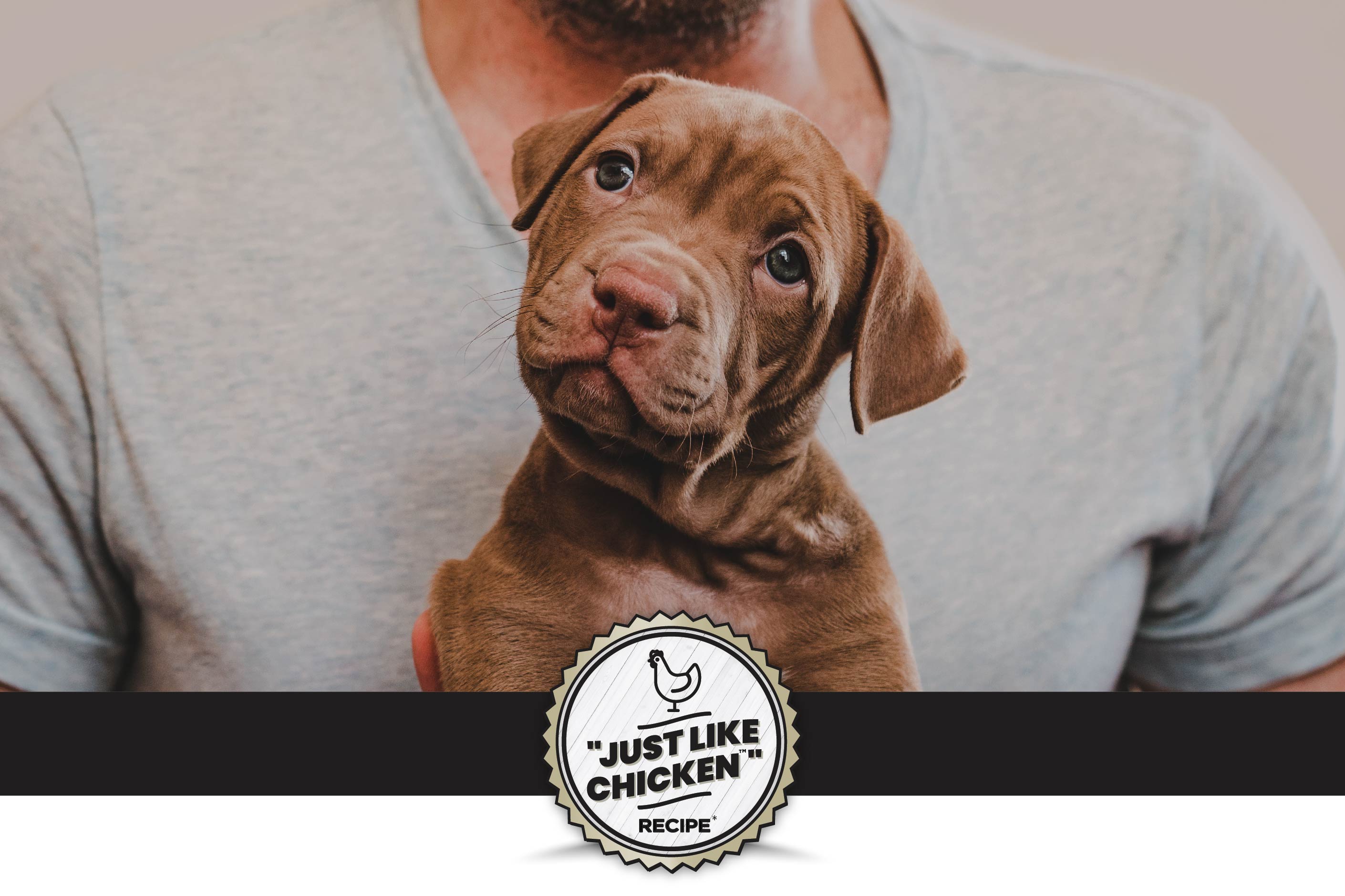 A person with short hair wearing a gray t-shirt is holding a light brown puppy close to their chest. The puppy looks curious and alert. Overlaying the image is text that reads "Sustainable Complete Protein*" followed by a brief explanation about the benefits of dry yeast as a protein source compared to traditional animal proteins. At the bottom, there is a badge that says "JUST LIKE CHICKEN" with the word "RECIPE" inside.