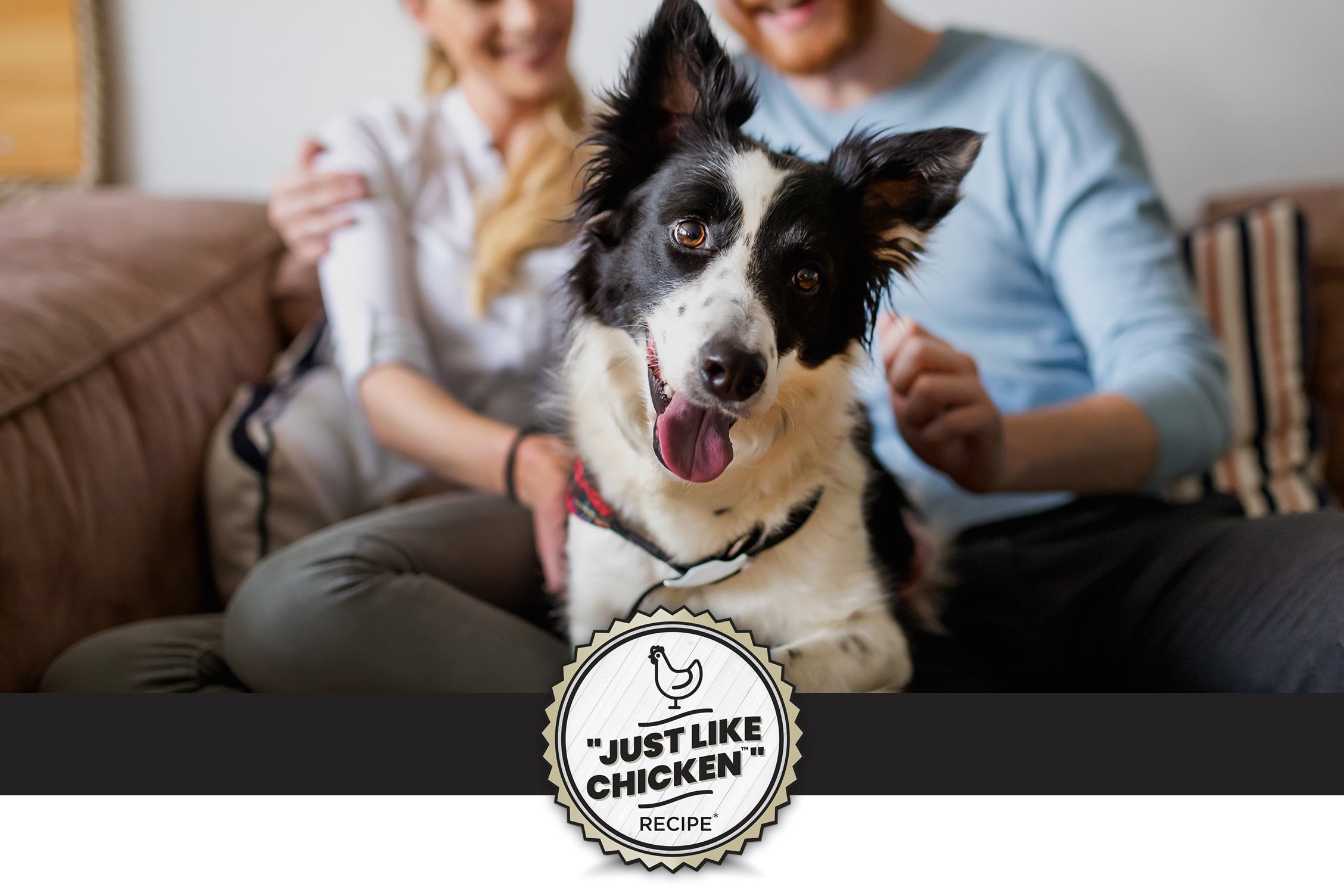 A black and white dog sits in front of a couch where a woman in a light top and a man in a blue sweater are interacting. The image promotes a dry yeast protein source, highlighting sustainability and its similarity to animal proteins like chicken.