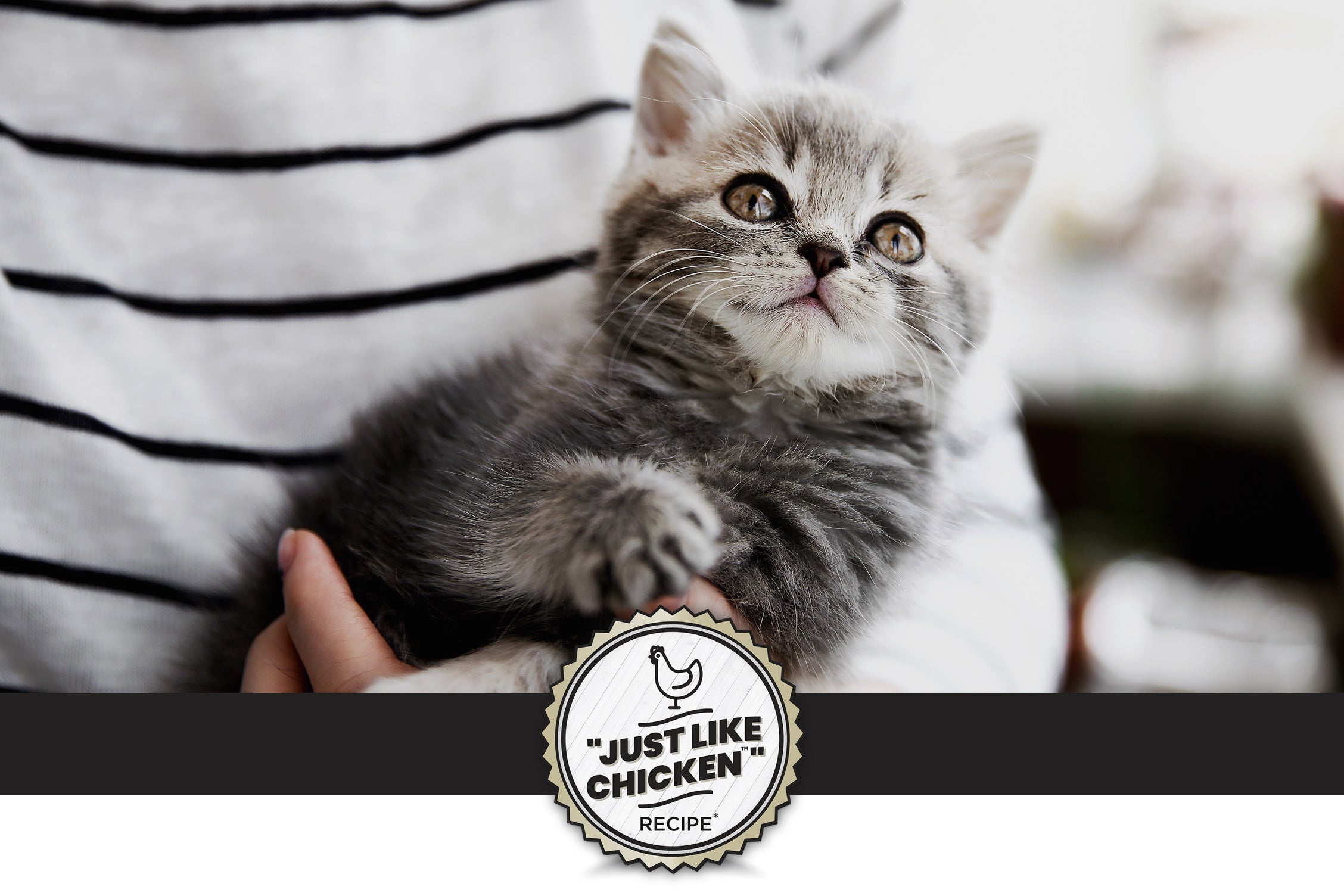 A person is holding a fluffy gray kitten that looks inquisitive and attentive. The background is softly blurred, highlighting the kitten. Overlay text emphasizes “Sustainable Complete Protein*” and explains that the protein source is a dry yeast containing all nutrients found in animal proteins like chicken.