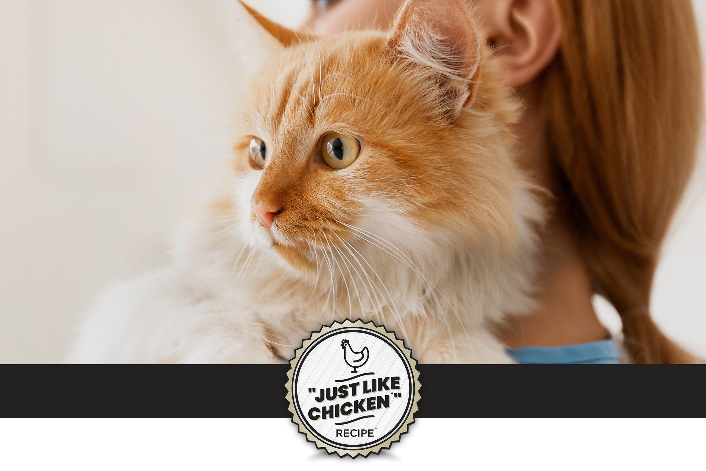 A fluffy ginger cat is shown up close, resting against a person's shoulder. The text overlay emphasizes "Sustainable Complete Protein" and mentions that the protein source is yeast, likening it to animal proteins found in chicken. A badge at the bottom reads "Just Like Chicken Recipe."