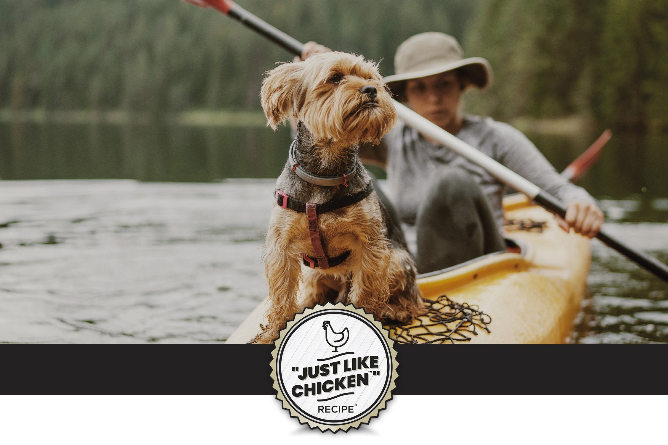 A small dog sits on a yellow kayak beside a person wearing a hat and paddling. In the background, there is a serene lake surrounded by green trees. The text overlay emphasizes "Sustainable Complete Protein*" and highlights the protein source as dry yeast.