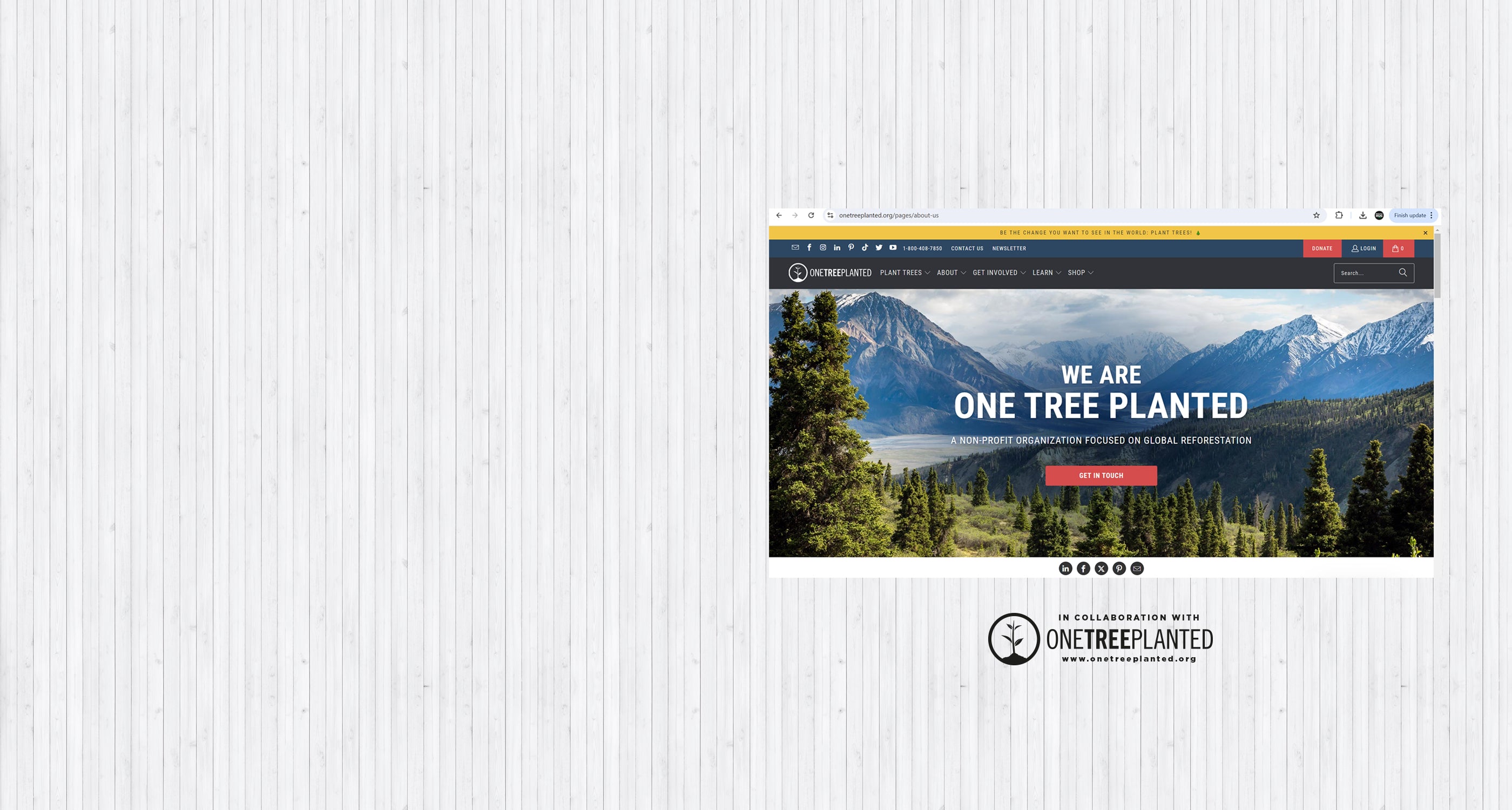 The image showcases the website banner for "One Tree Planted." It features a scenic background of mountains and trees, with the main title “WE ARE ONE TREE PLANTED” prominently displayed in white text. Below the title, a brief message highlights the mission of making tree planting simple to help the environment. It emphasizes restoring forests and creating habitats for biodiversity. There’s a call-to-action button labeled “GET INVOLVED,” encouraging user engagement.