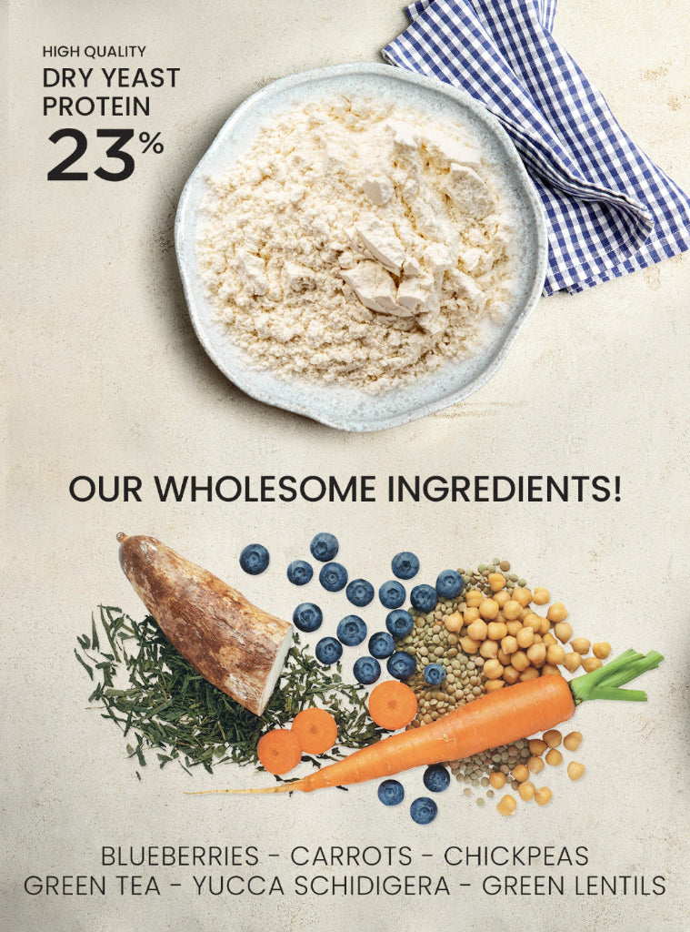 A bowl of high-quality dry yeast protein (23%) is on a textured surface, accompanied by a colorful arrangement of wholesome ingredients, including blueberries, carrots, chickpeas, green tea, yucca schidigera, and green lentils. The text "OUR WHOLESOME INGREDIENTS!" is prominently displayed at the bottom.