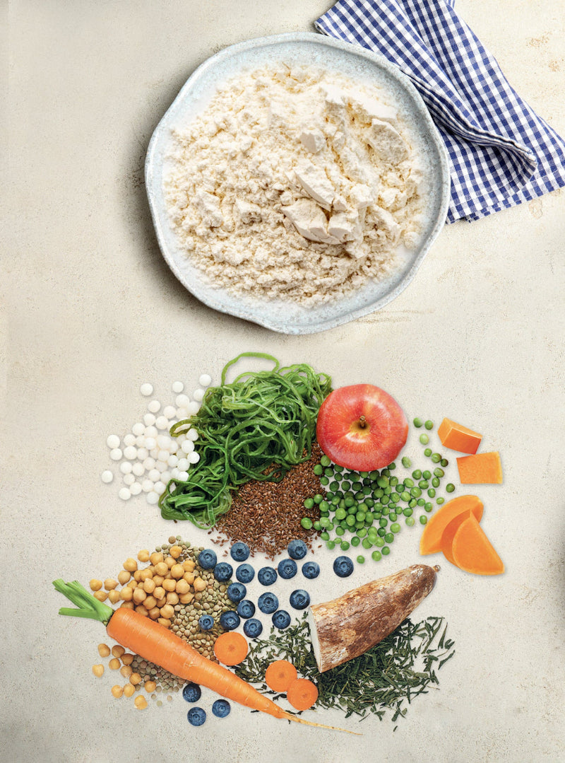 An assortment of wholesome ingredients arranged artfully. A blue and white checkered cloth is partially visible. Central is a bowl of flour, surrounded by fresh ingredients including an apple, green peas, kelp, pumpkin pieces, flaxseed, tapioca pearls, carrots, and other vegetables.