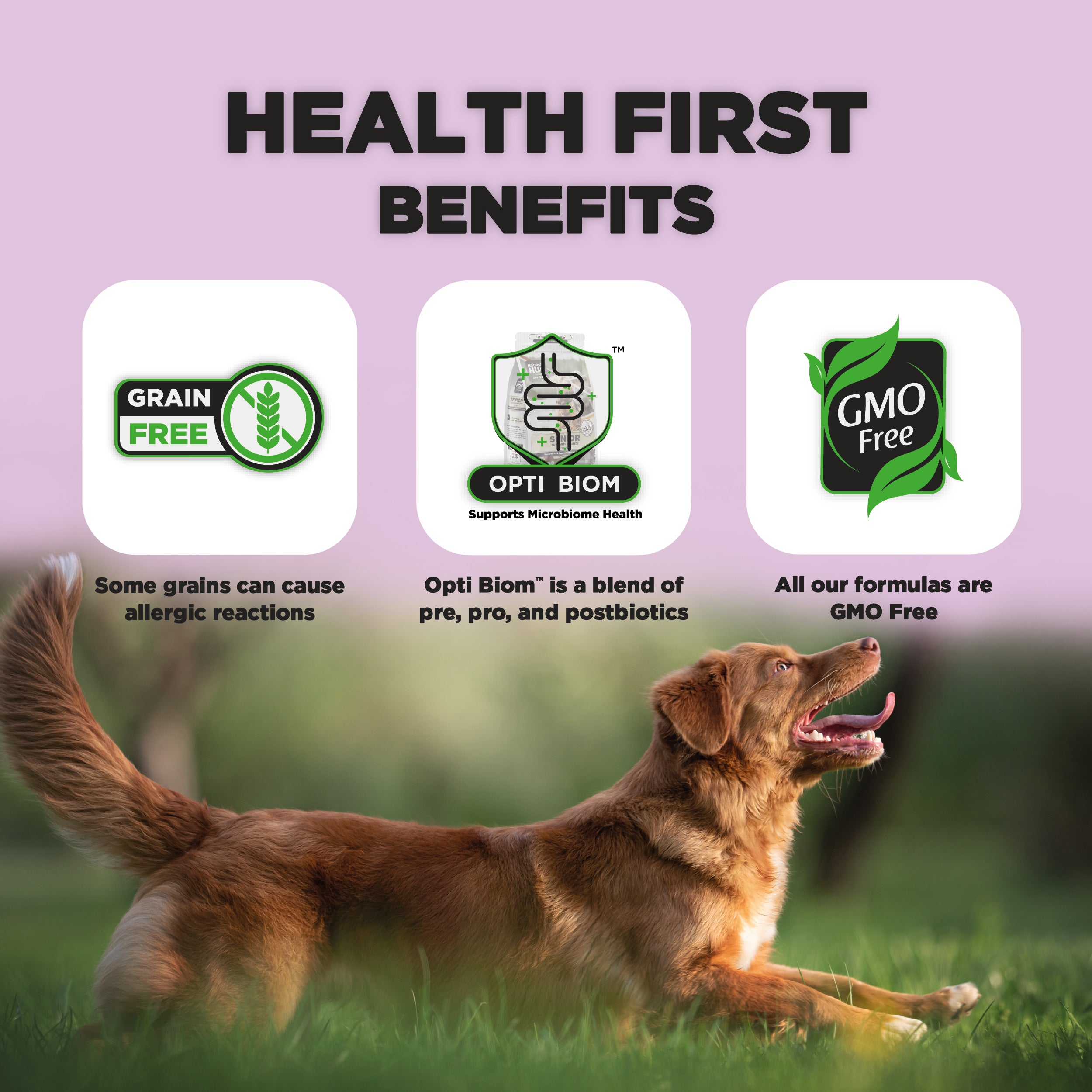 A playful brown dog runs across a green field beneath a pastel purple background. The image features the text "HEALTH FIRST BENEFITS" at the top. Three icons are displayed: the first states "Grain Free," with a note about allergic reactions; the second highlights "Opti Biom," which supports microbiome health; and the third notes that all formulas are "GMO Free."