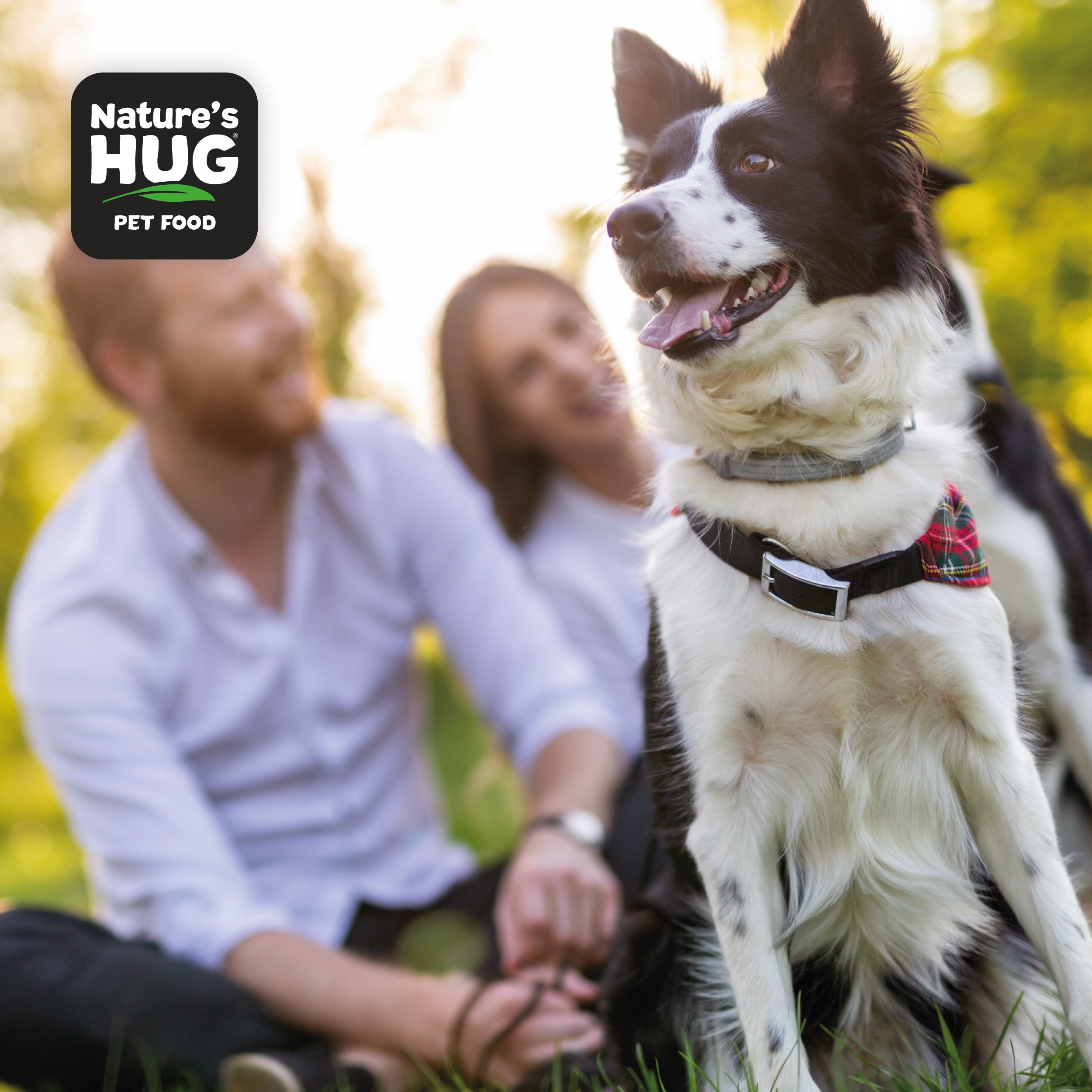 A playful black and white dog sits in the foreground, smiling with its tongue out, while a couple relaxes in the blurred background. The scene is set in a sunny outdoor area, surrounded by greenery, conveying a joyful atmosphere. The dog's harness includes a plaid pattern, and the image features a logo for "Nature's Hug Pet Food" in the top-left corner.