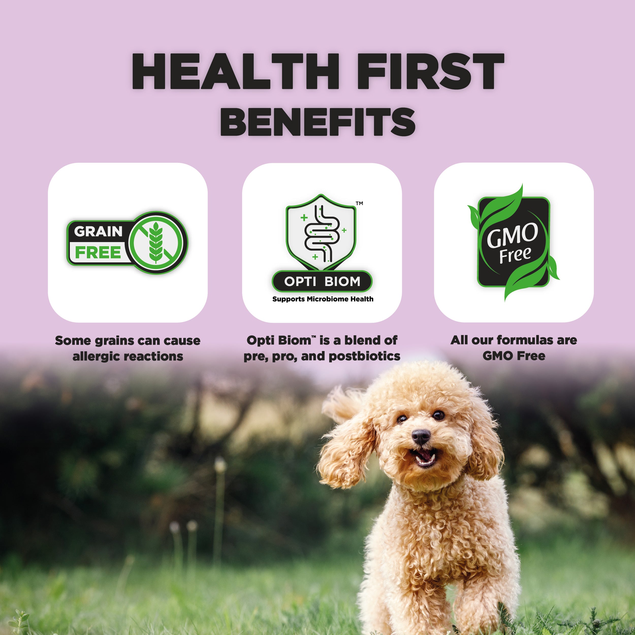 A playful poodle is running on grass in a natural setting. The image highlights three benefits: "Grain Free," with a note on allergic reactions; "Opti Biom," promoting microbiome health; and "GMO Free," stating all formulas are free from GMOs.