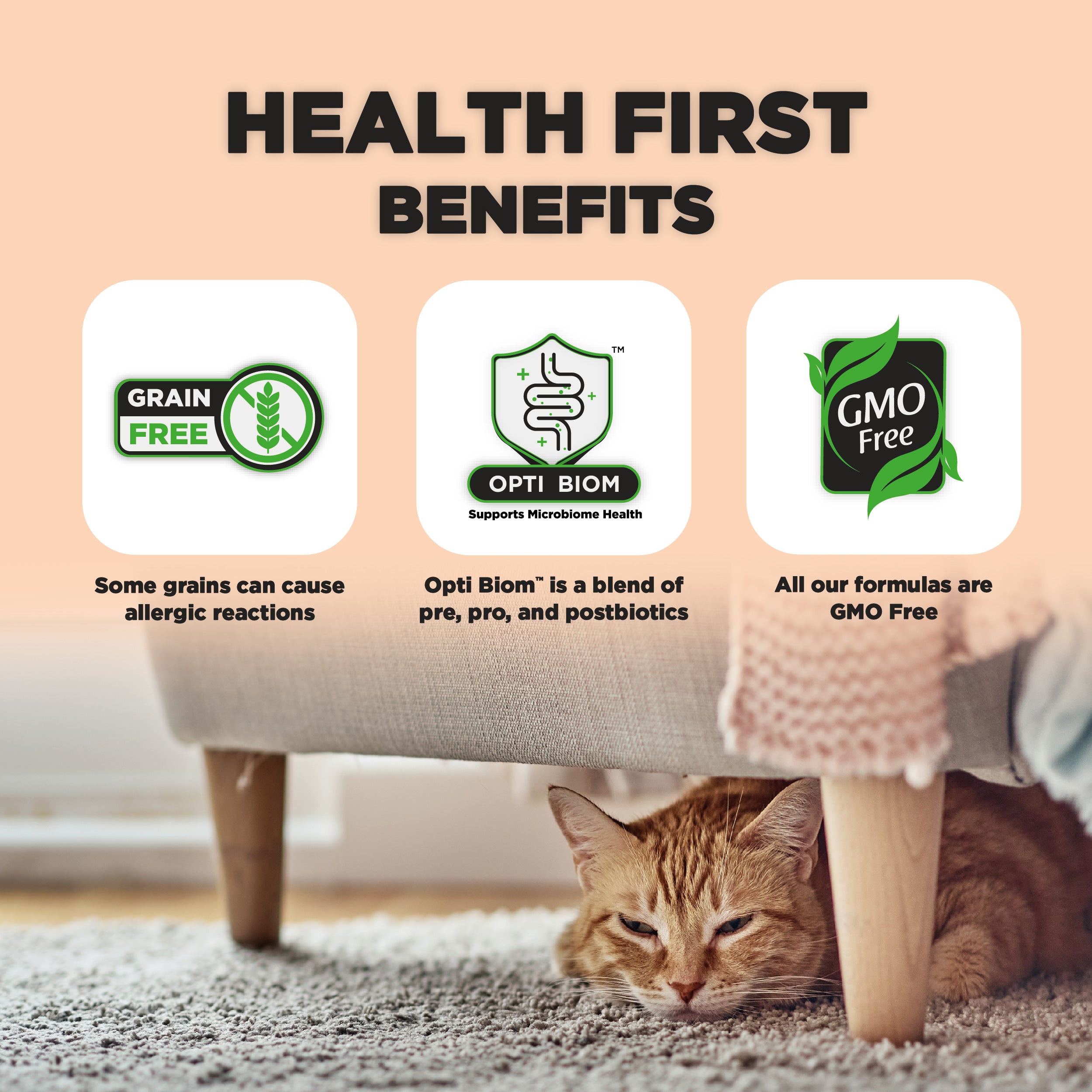 The image highlights the "Health First Benefits" of a pet food product. It includes three main points: "Grain Free" indicating some grains can cause allergic reactions, "Opti Biom" which supports microbiome health and is described as a blend of pre, pro, and postbiotics, and "GMO Free" stating that all formulas are free from genetically modified organisms. At the bottom, a relaxed orange cat is resting under a couch, adding a warm, cozy atmosphere to the scene.